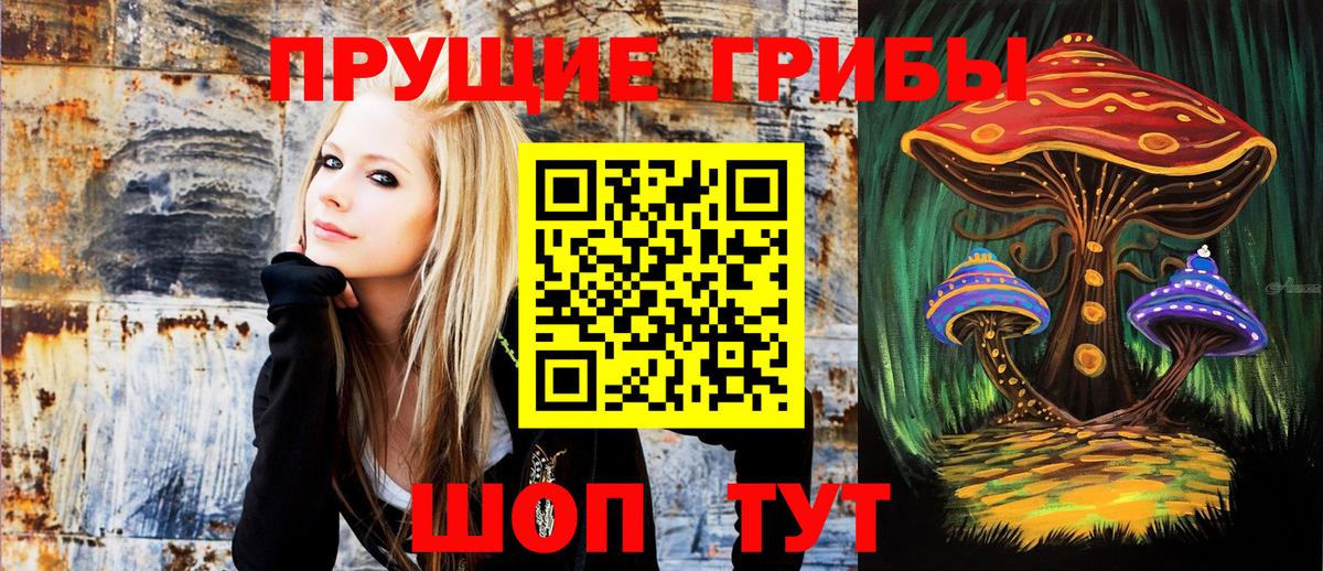Галлюциногенные грибы мухоморы  Вход с VPN  Псилоцибиновые грибы Psilocybe  Сердобск 